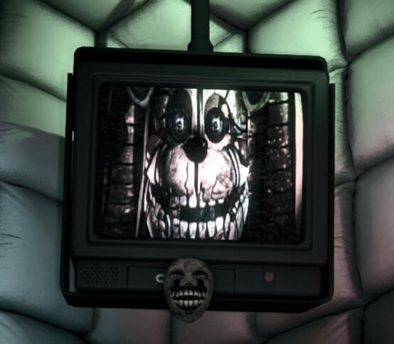 The TV..